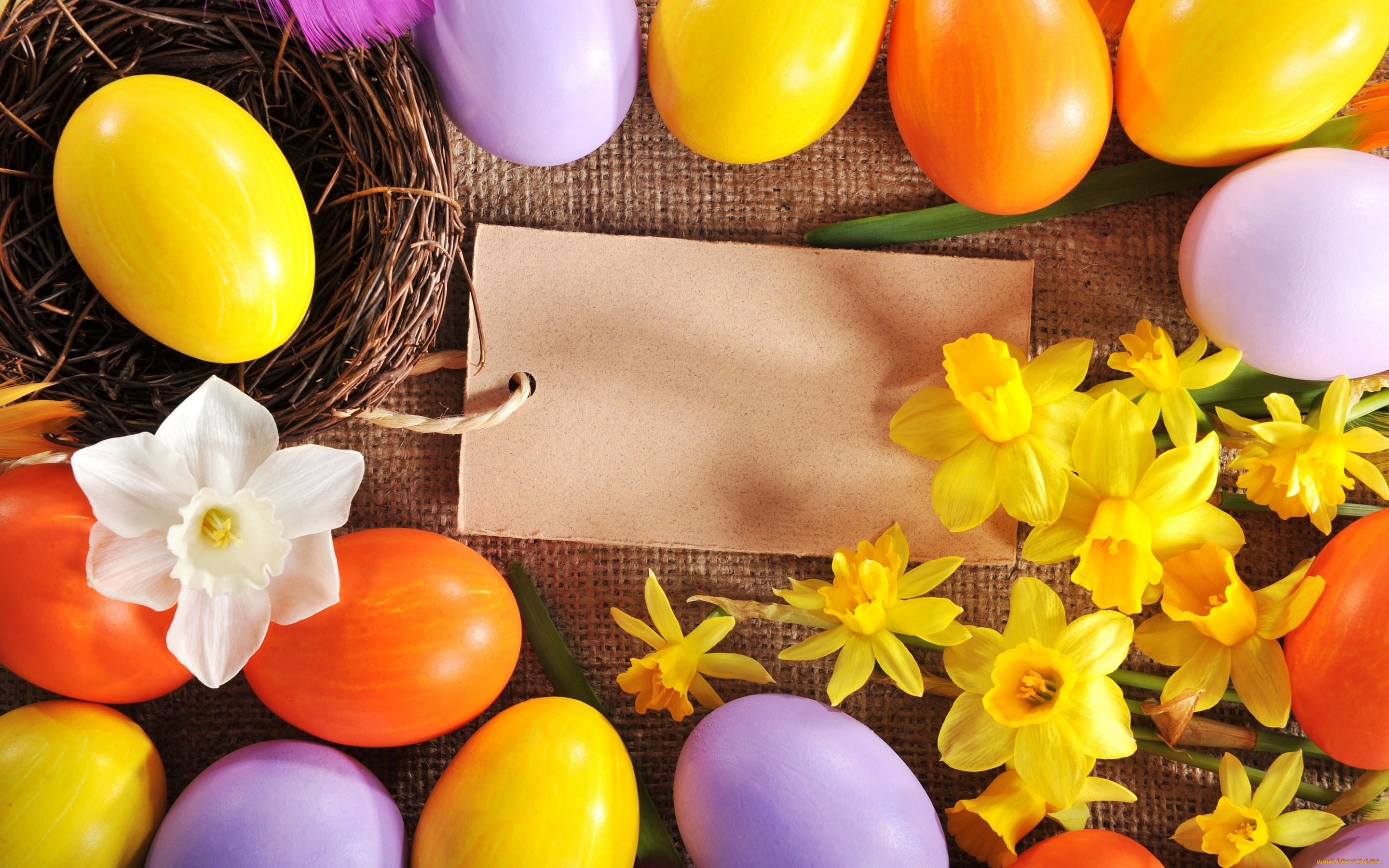 , , , , , spring, flowers, eggs, easter